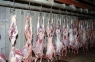 قصابون: ٦٠٪ انخفاض الطلب على اللحوم .. لهذه الاسباب