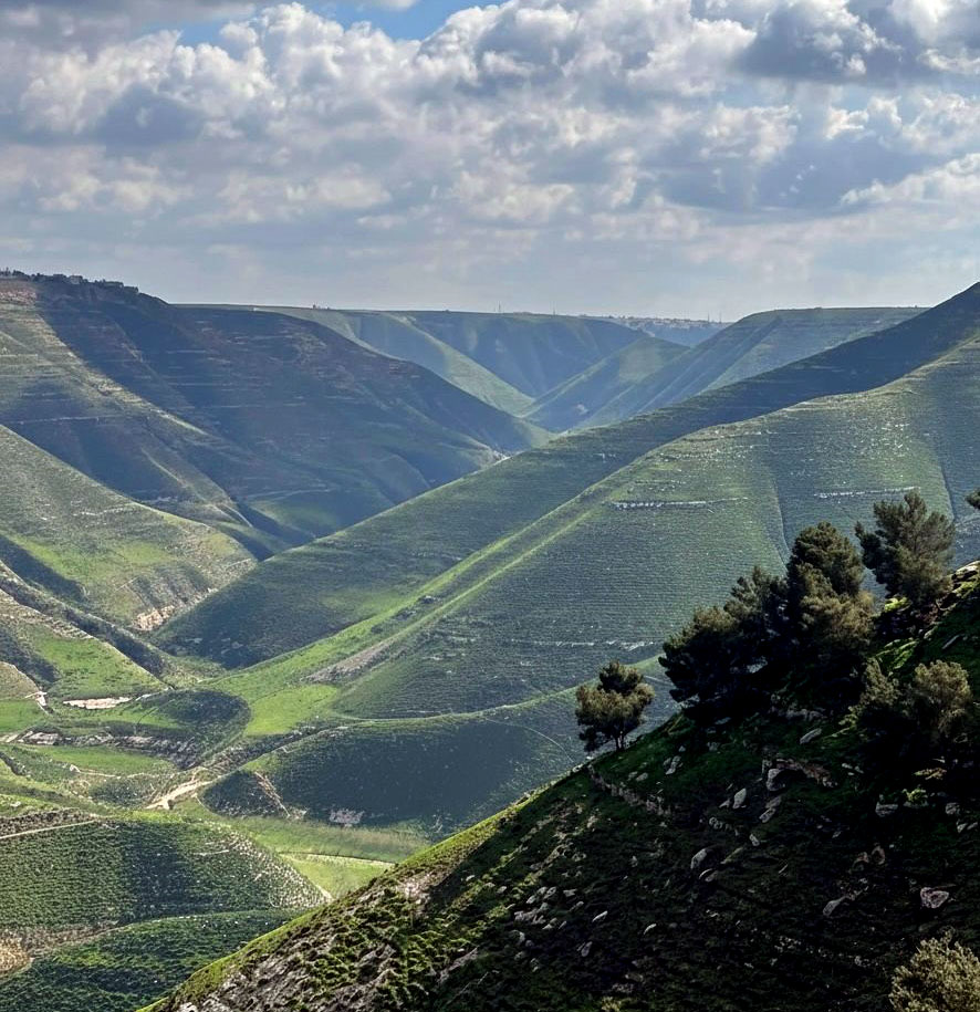 خبراء: إربد تتألق في الربيع بين الطبيعة الخلابة والتاريخ العريق