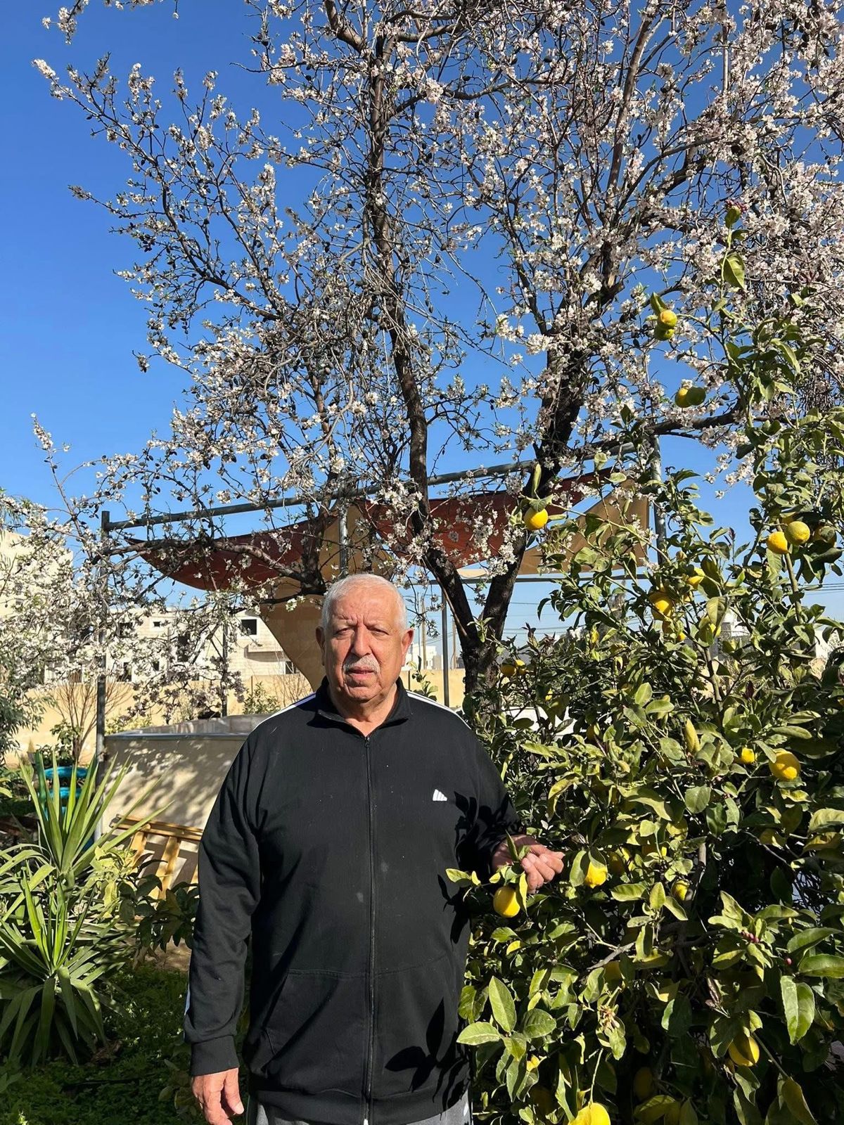 أ. د . فايز ابو عريضة : *ألاشحار مستودع الاسرار *