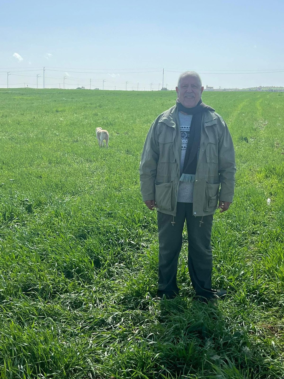 أ. د . فايز ابو عريضة : *البلدوزر آلية صماء*